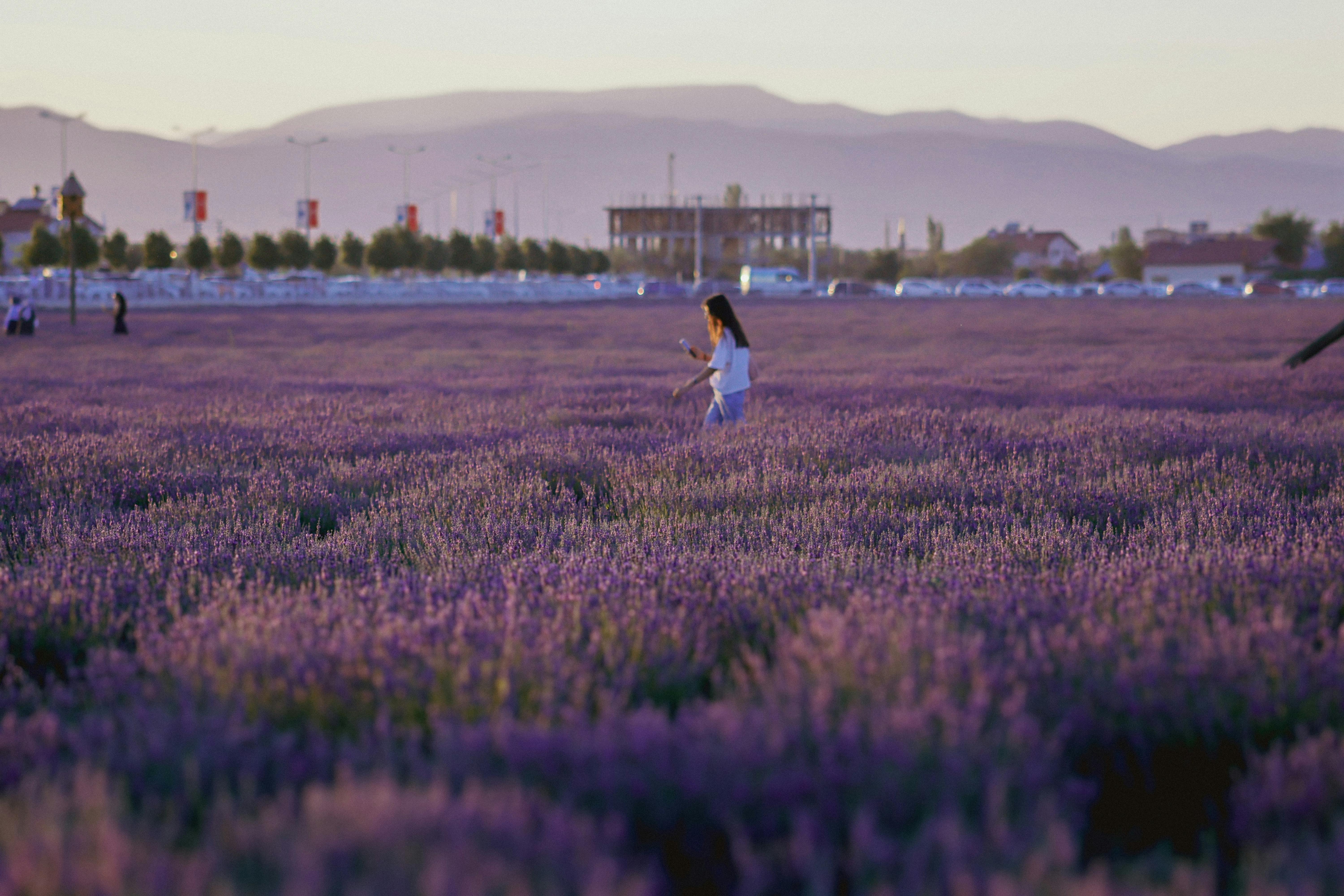 Cross Platform Field App